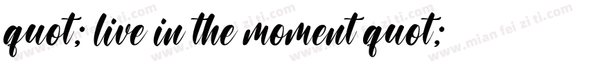 quot; live in the moment quot;字体转换